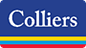 Colliers Property Management Services Houston logo